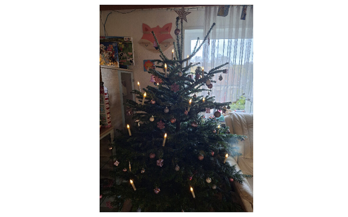 Weihnachtsbaum Weis Weihnachtsbaum Weis
