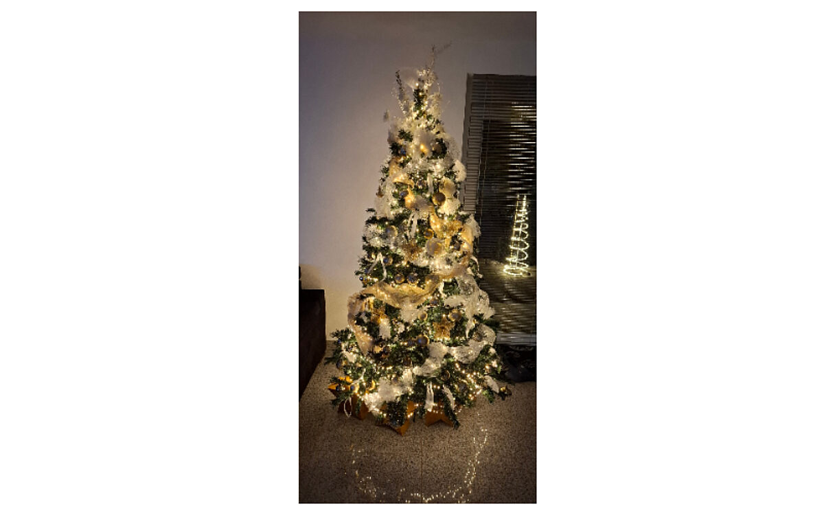 Weihnachtsbaum Wenzel Weihnachtsbaum Wenzel