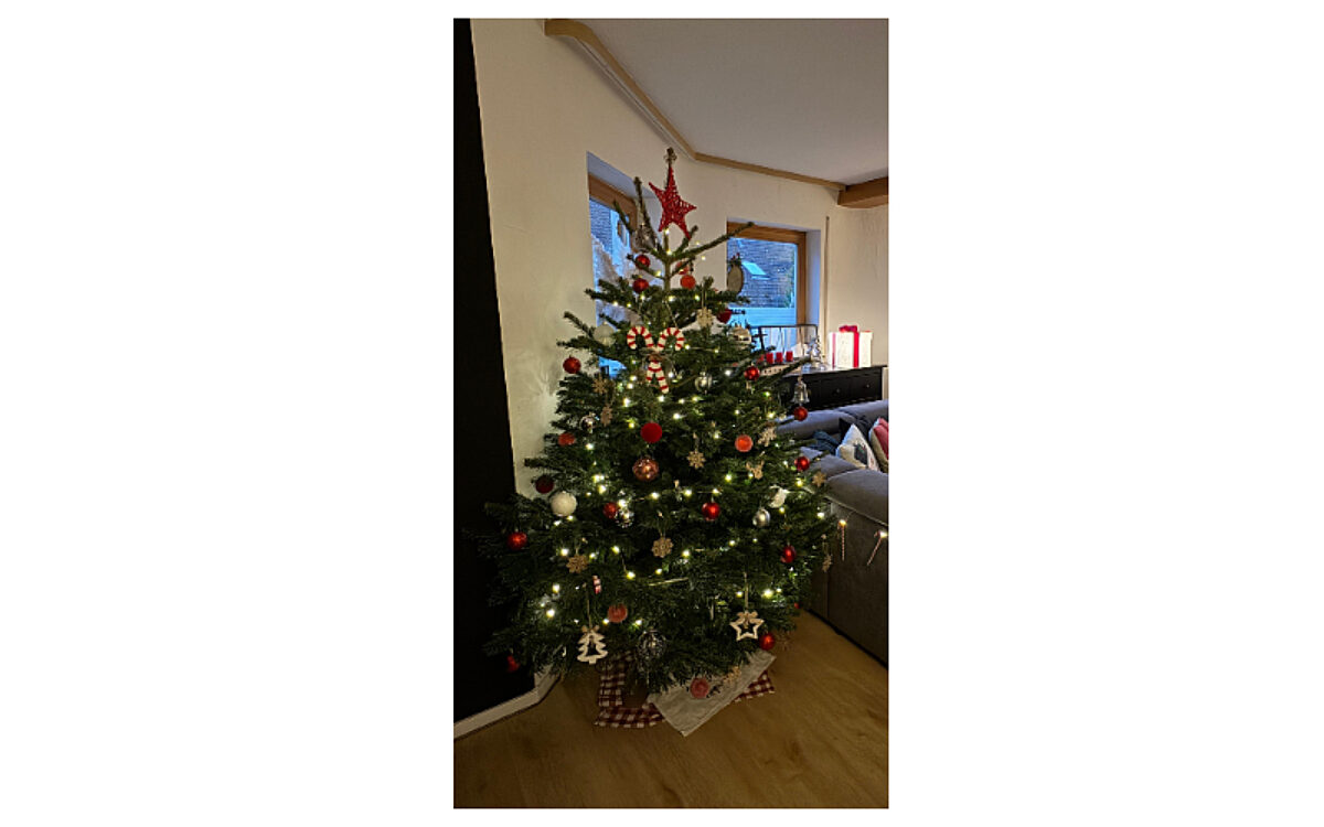 Weihnachtsbaum Hille Weihnachtsbaum Hille