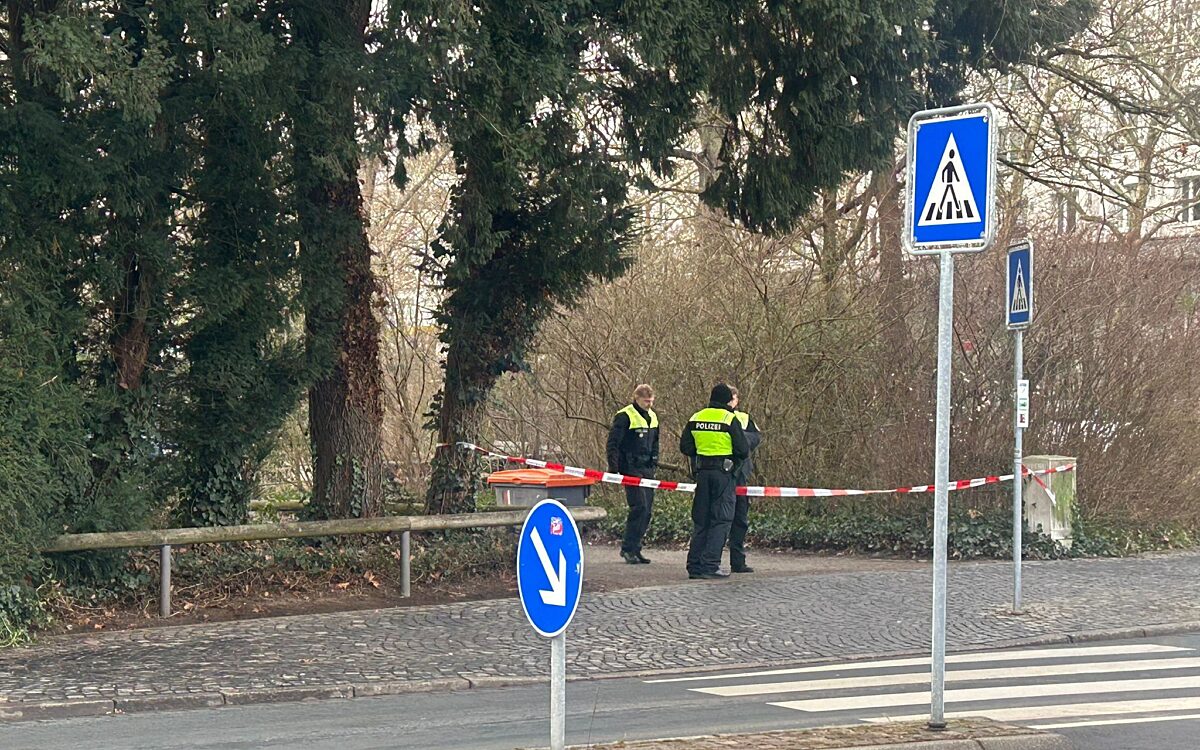 Whats App Image 2025 01 22 at 13 39 14 Whats App Image 2025 01 22 at 13 39 14