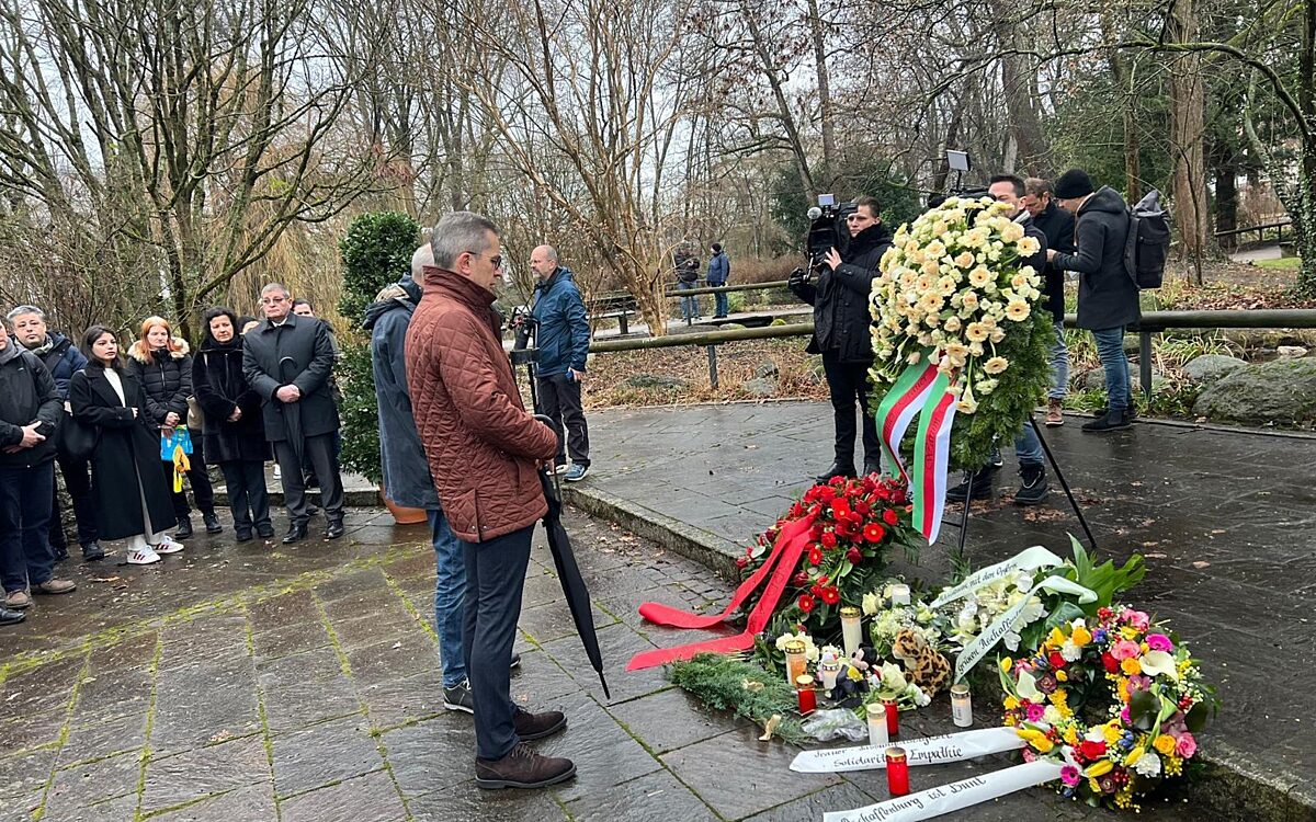 Whats App Image 2025 01 23 at 10 28 501 Whats App Image 2025 01 23 at 10 28 501