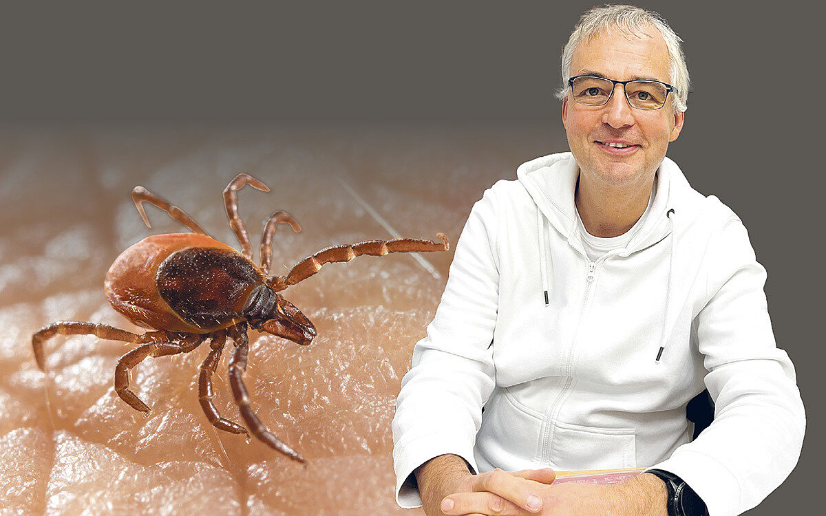 Zecke und Arzt Zecke und Arzt