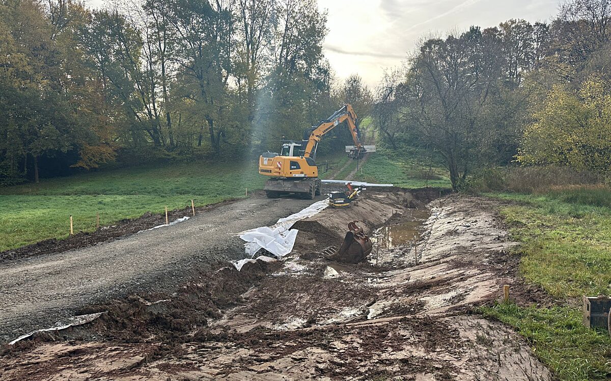 Bodenstaendig 4 Bodenstaendig 4