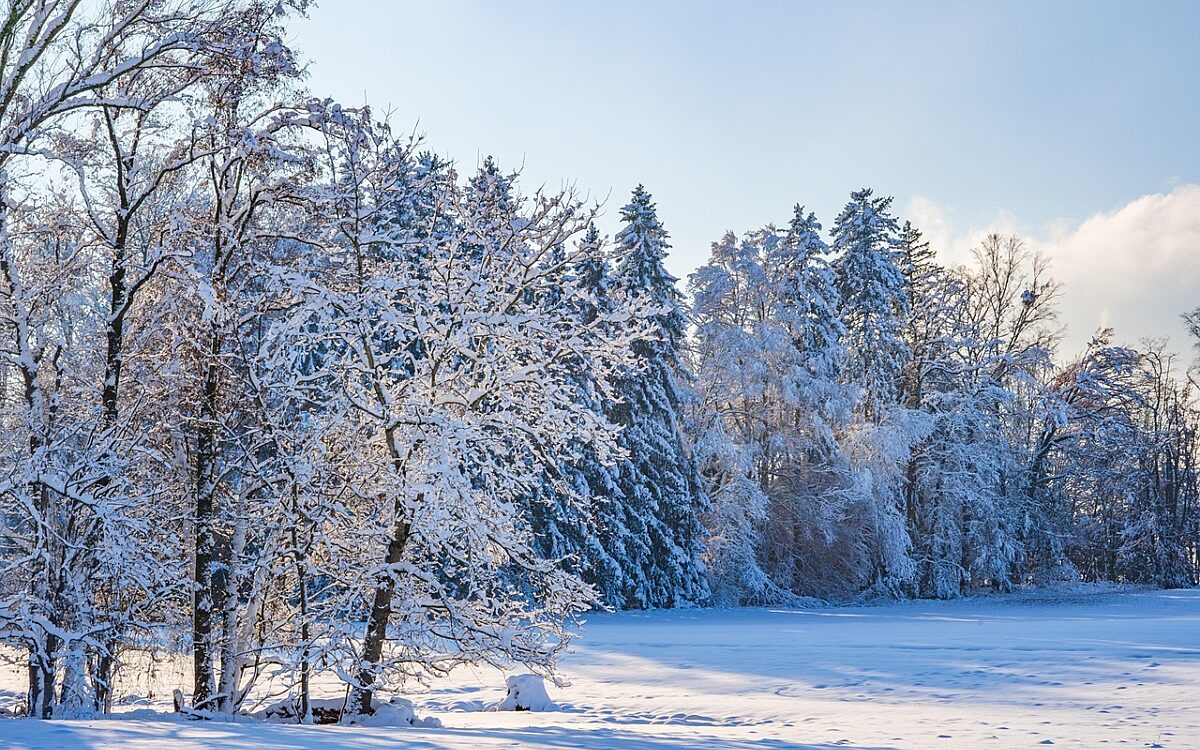 Chiemseherin winter 8433257 1280