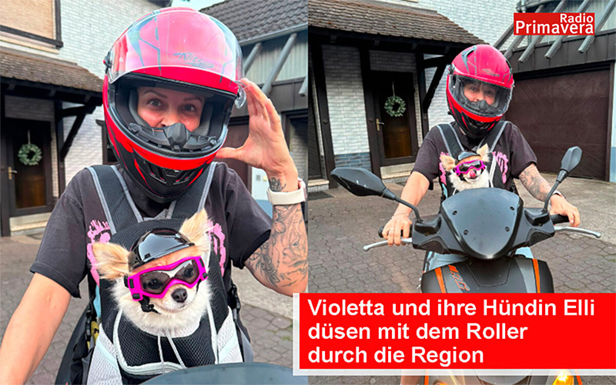 Violetta hp