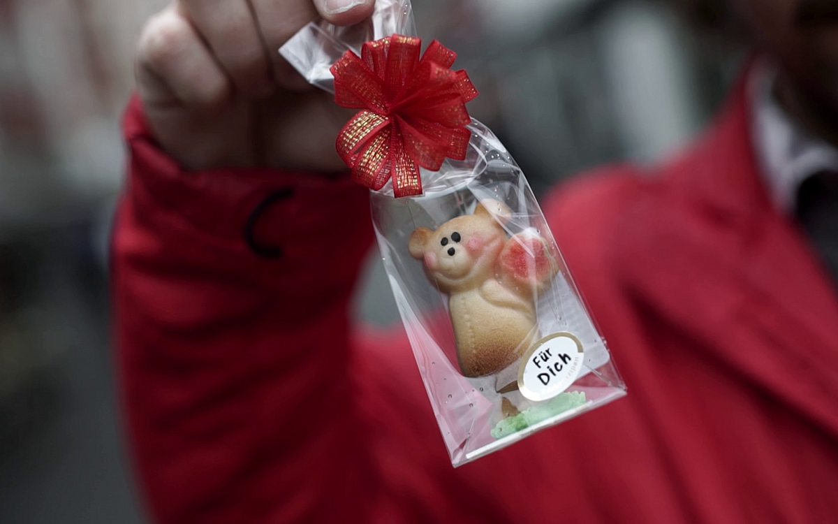 Vlcsnap 2026 02 13 11h42m36s908