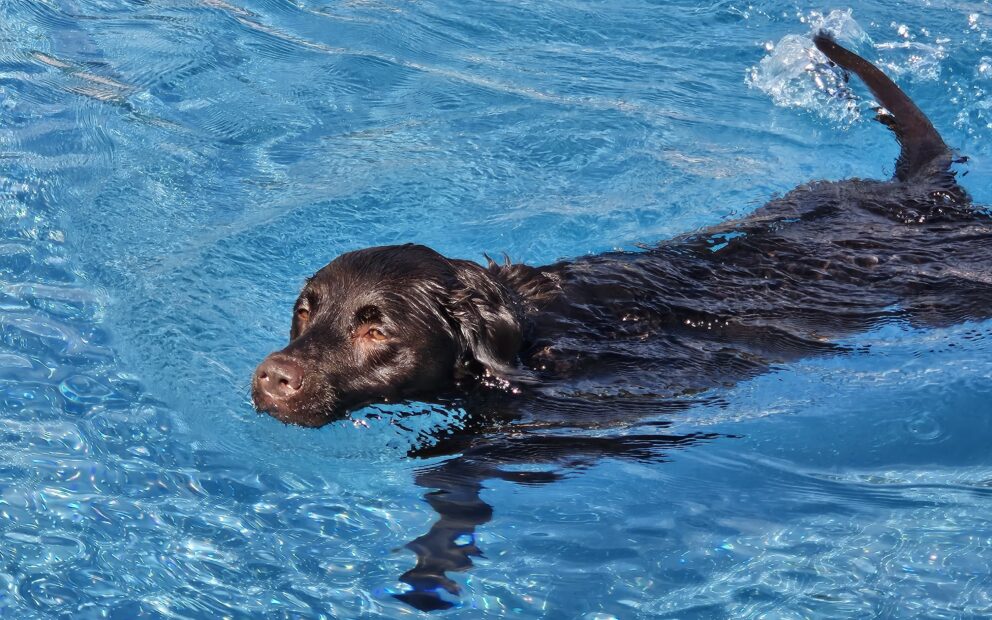 20240915 150408 20240915 150408