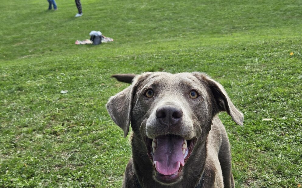 20240915 151539 20240915 151539