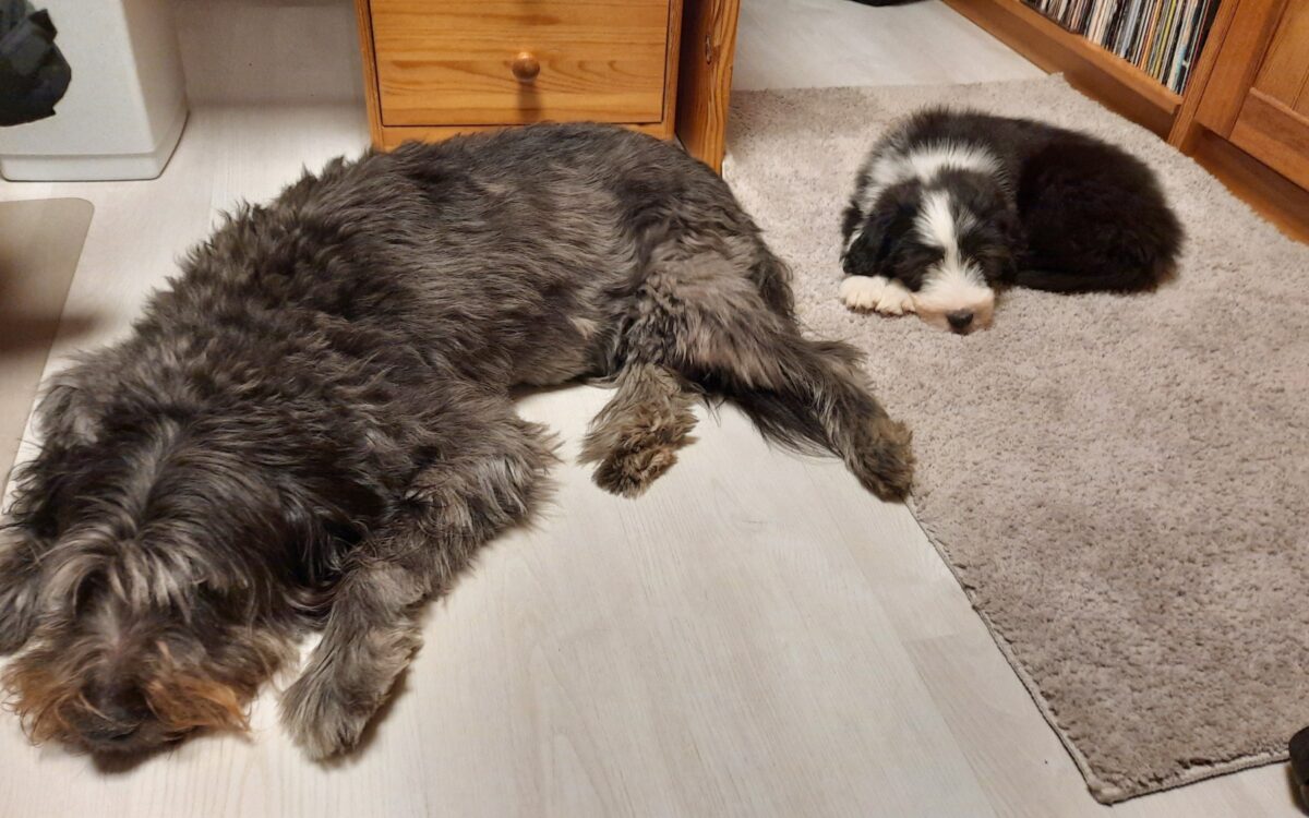 Dieter Doering Handy 4 Dieter Doering Handy 4