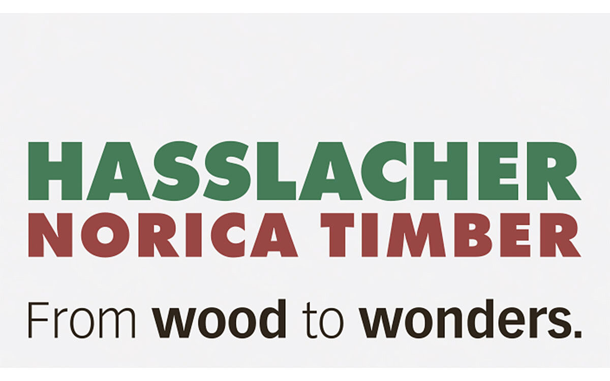 Logo Hasslacher Gruppe Logo Hasslacher Gruppe
