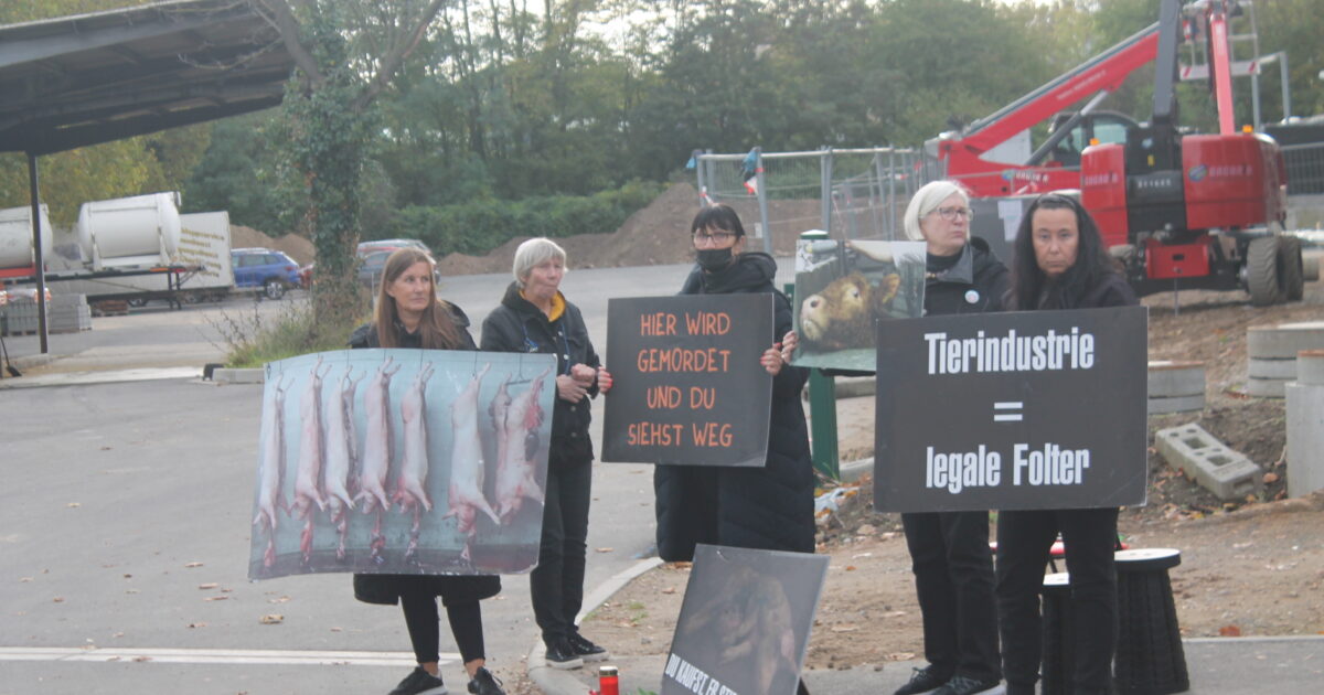 1. Mahnwache vor A'burger Schlachthof nach Räumungsfrist