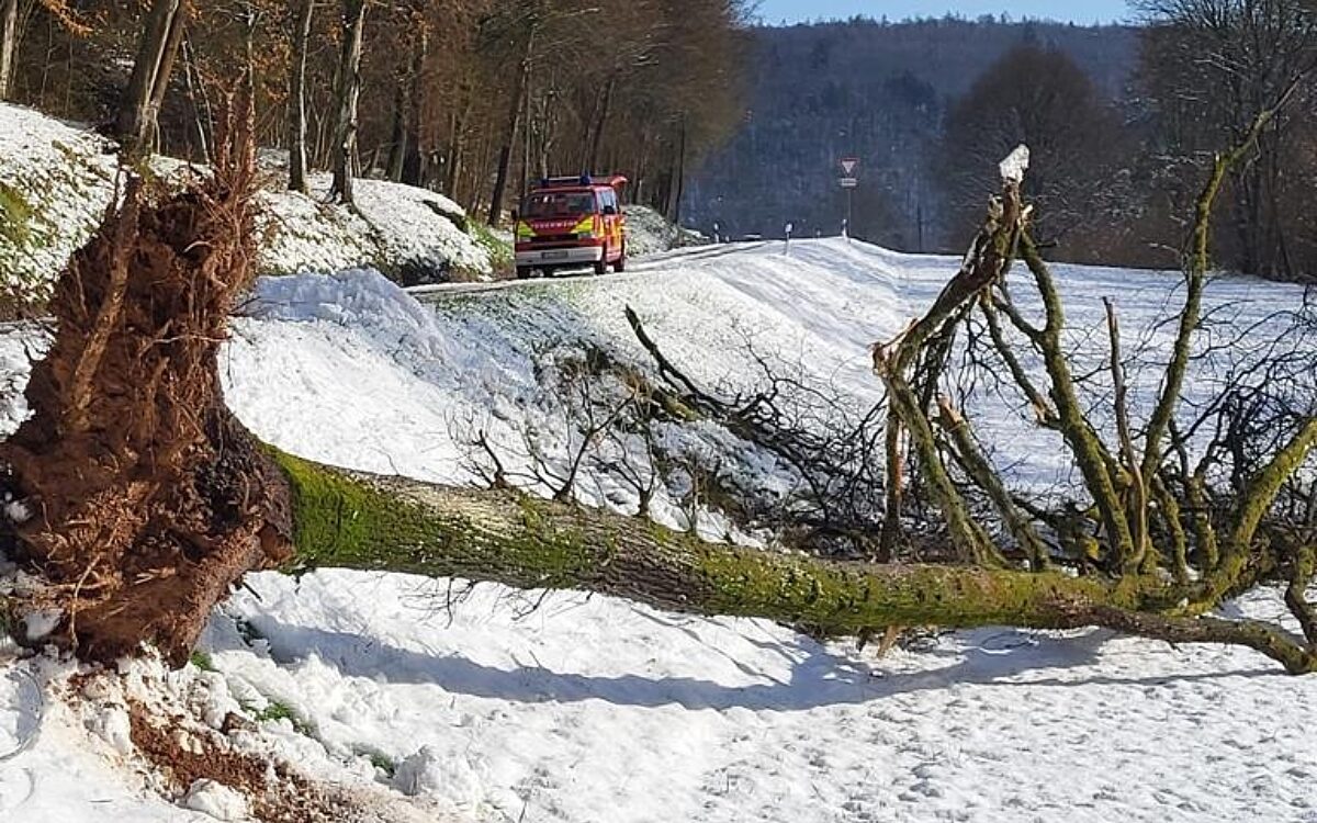 010622 Kreis MIL Schneeschaden 010622 Kreis MIL Schneeschaden