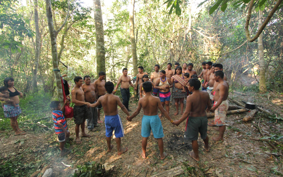 02 Kapoor Gruppe Regenwald Amazonas 02 Kapoor Gruppe Regenwald Amazonas