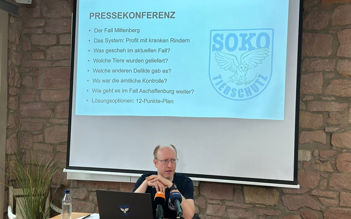030823 AB SOKO Tierschutz Pressekonferenz Muelln 030823 AB SOKO Tierschutz Pressekonferenz Muelln