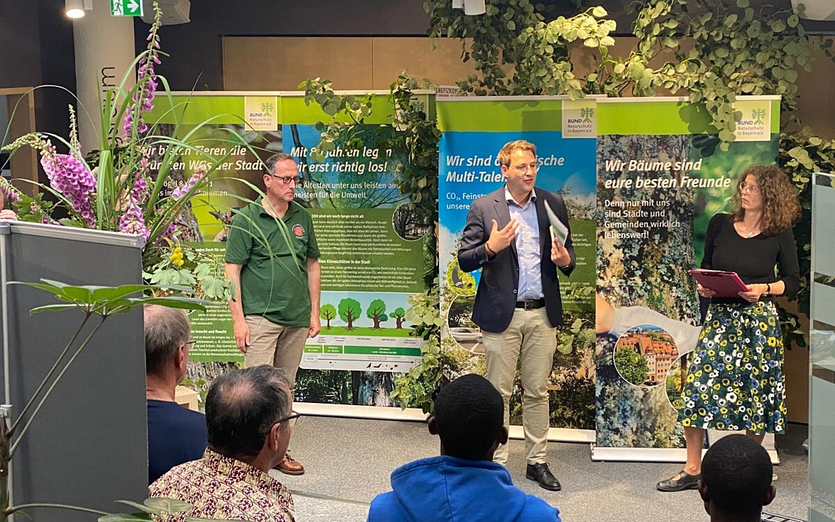 040624 ALZ Baeume KH 2 040624 ALZ Baeume KH 2