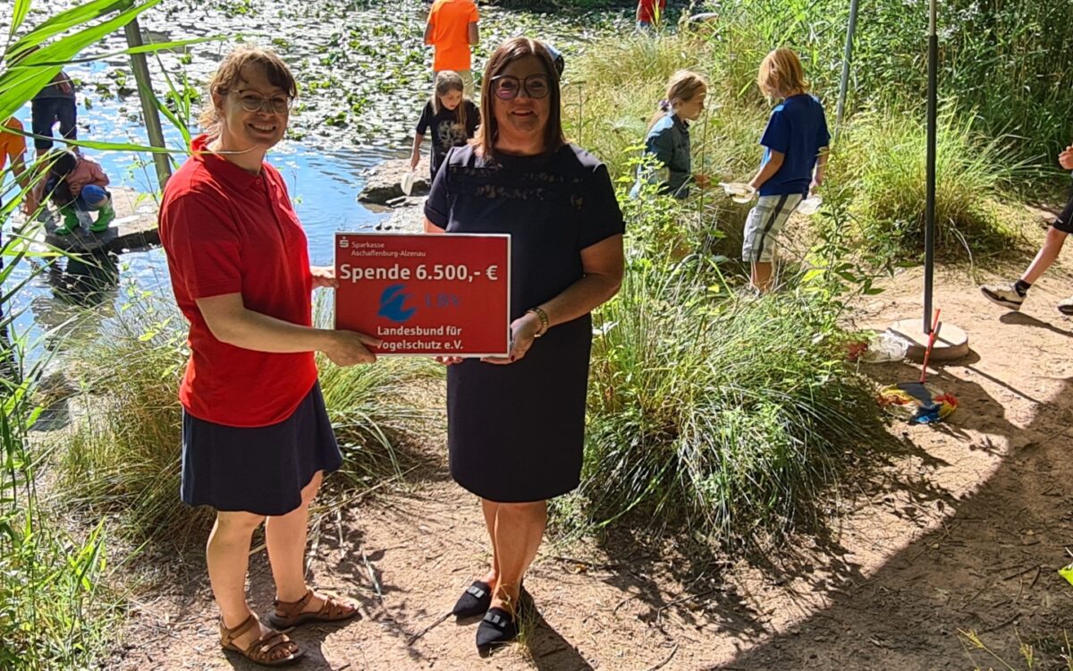 040722 Kleinostheim Sparkasse Spendenuebergabe 040722 Kleinostheim Sparkasse Spendenuebergabe