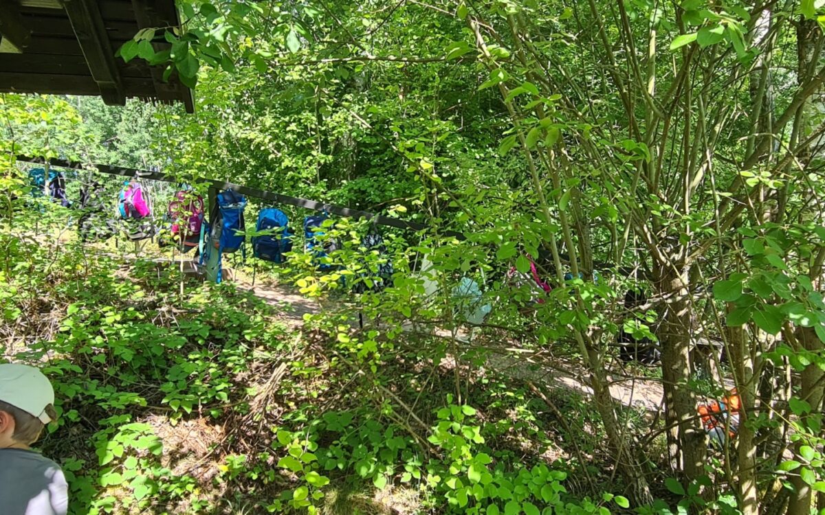 040722 Kleinostheim Umweltunterricht 10 040722 Kleinostheim Umweltunterricht 10