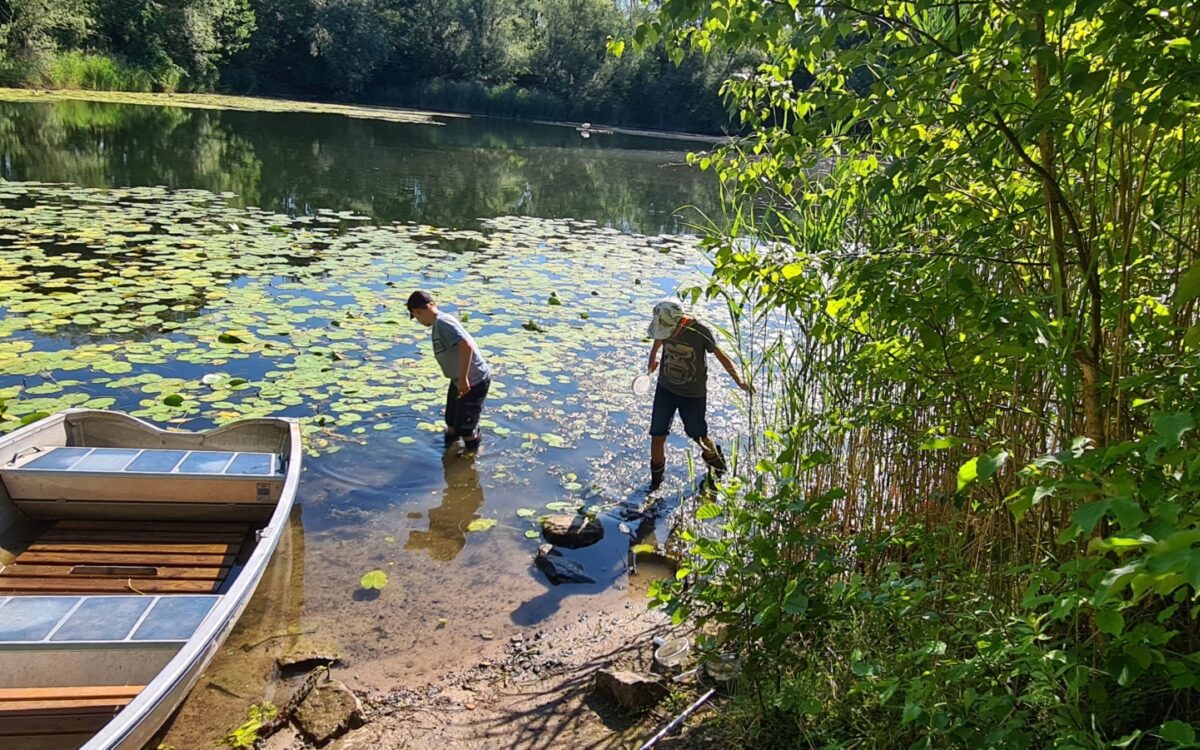 040722 Kleinostheim Umweltunterricht 11 040722 Kleinostheim Umweltunterricht 11