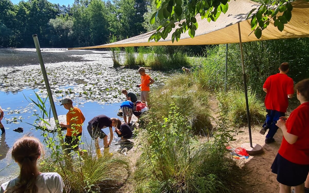 040722 Kleinostheim Umweltunterricht 12 040722 Kleinostheim Umweltunterricht 12