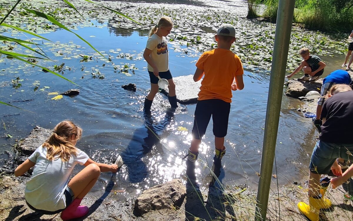 040722 Kleinostheim Umweltunterricht 13 040722 Kleinostheim Umweltunterricht 13