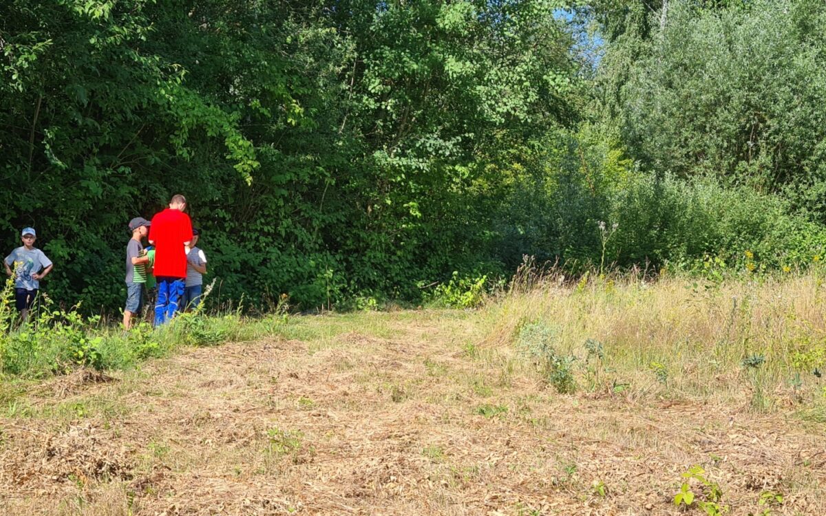 040722 Kleinostheim Umweltunterricht 14 040722 Kleinostheim Umweltunterricht 14