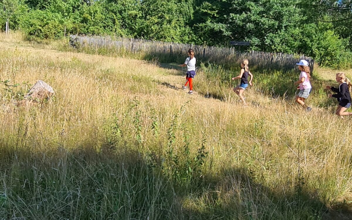 040722 Kleinostheim Umweltunterricht 3 040722 Kleinostheim Umweltunterricht 3