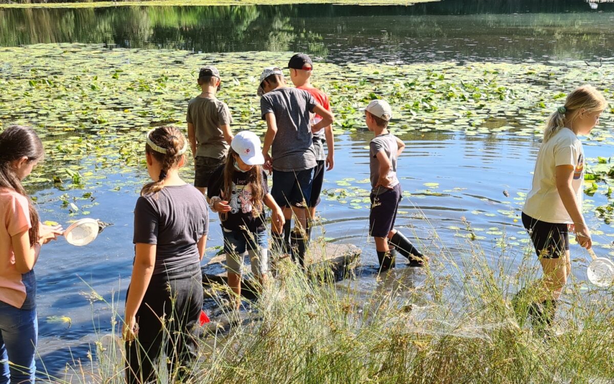 040722 Kleinostheim Umweltunterricht 4 040722 Kleinostheim Umweltunterricht 4