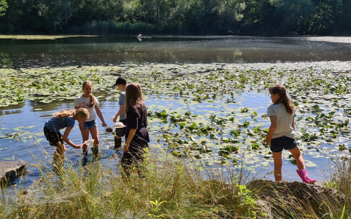 040722 Kleinostheim Umweltunterricht 6 040722 Kleinostheim Umweltunterricht 6