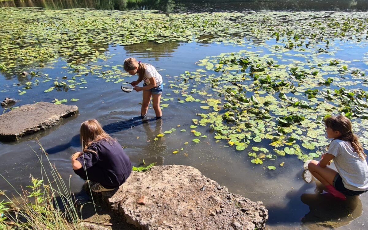 040722 Kleinostheim Umweltunterricht 7 040722 Kleinostheim Umweltunterricht 7