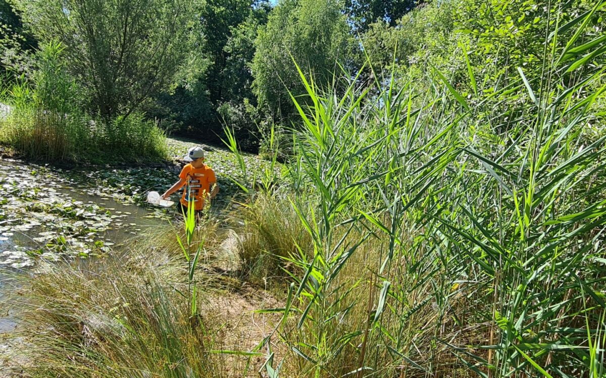 040722 Kleinostheim Umweltunterricht 8 040722 Kleinostheim Umweltunterricht 8