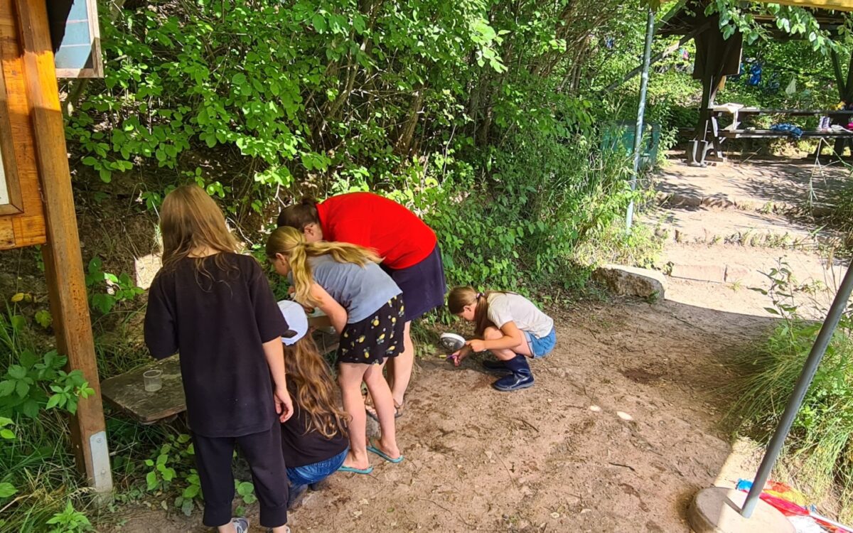 040722 Kleinostheim Umweltunterricht 9 040722 Kleinostheim Umweltunterricht 9