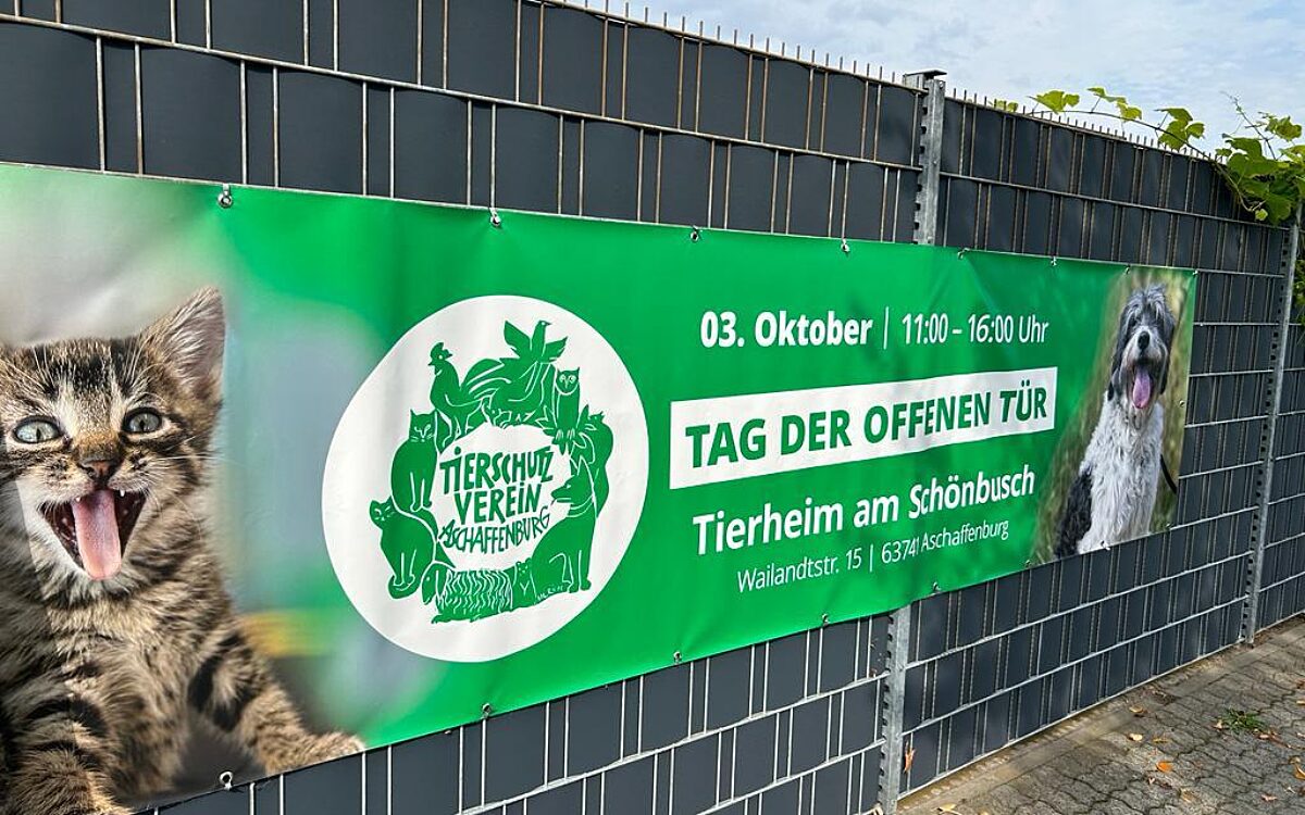 041023 Tierheim 14 041023 Tierheim 14