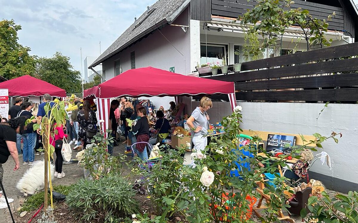 041023 Tierheim 9 041023 Tierheim 9