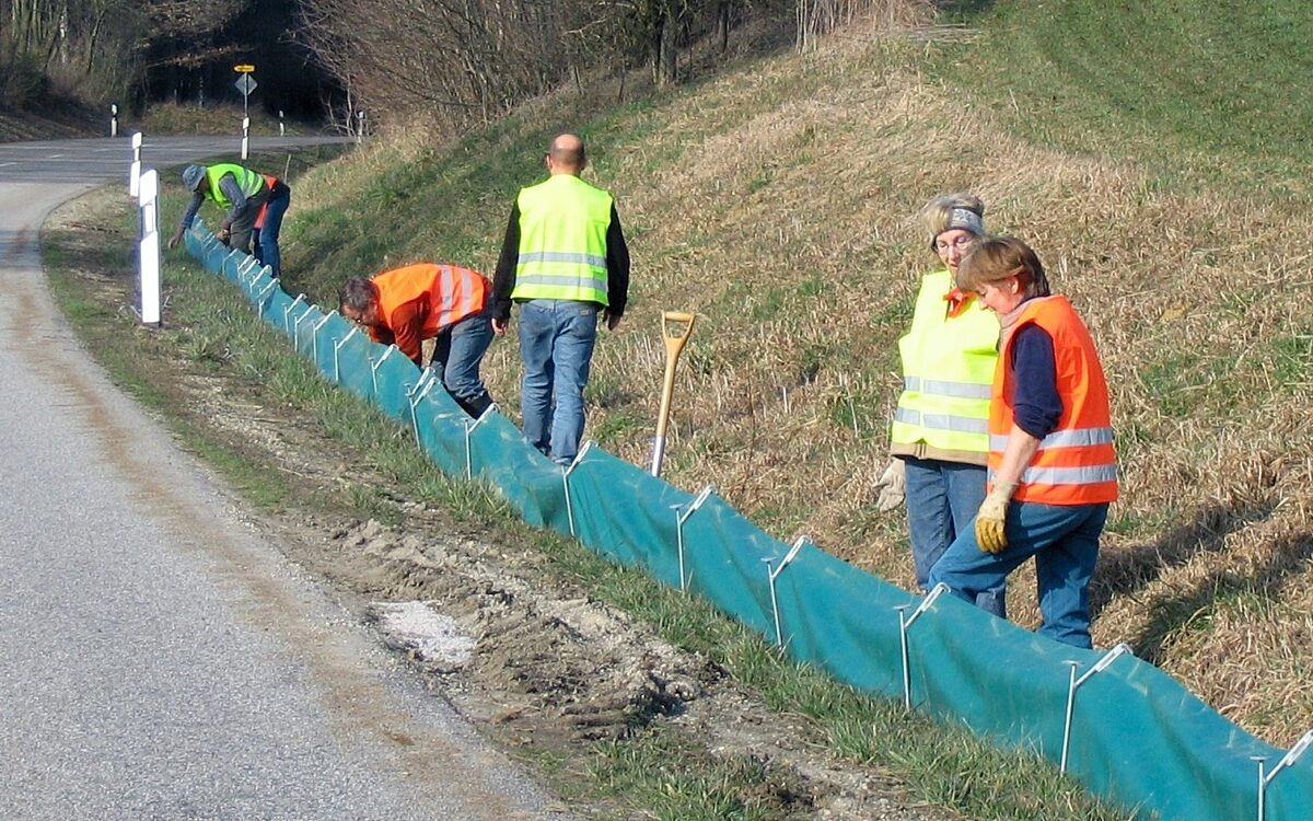 060323 BN MIL Kroetenzaun Paul Riederer 060323 BN MIL Kroetenzaun Paul Riederer