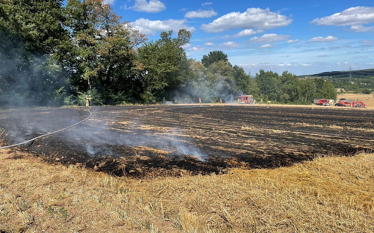 060822 Alzenau Wiesenbrand 2 060822 Alzenau Wiesenbrand 2