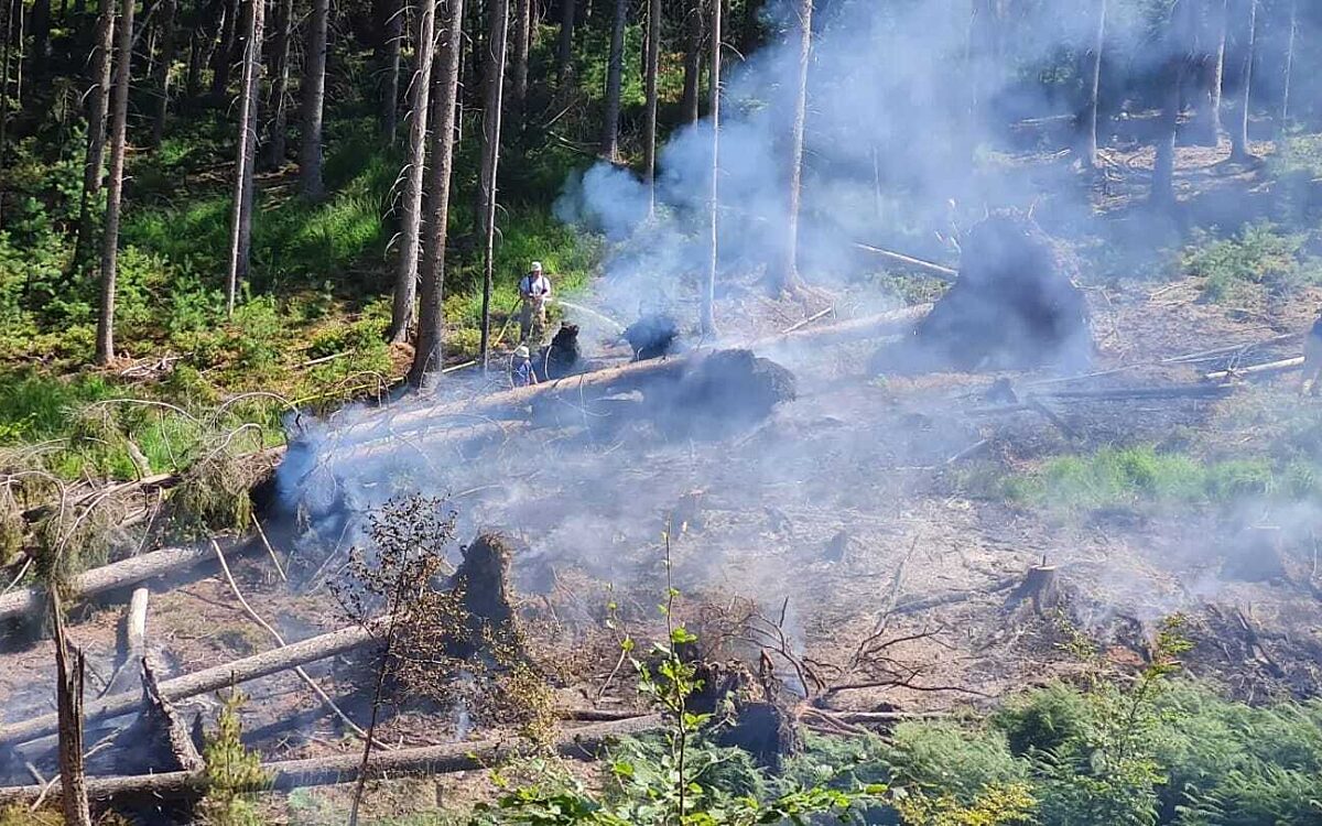 060822 Laudenbach Waldbrand 060822 Laudenbach Waldbrand