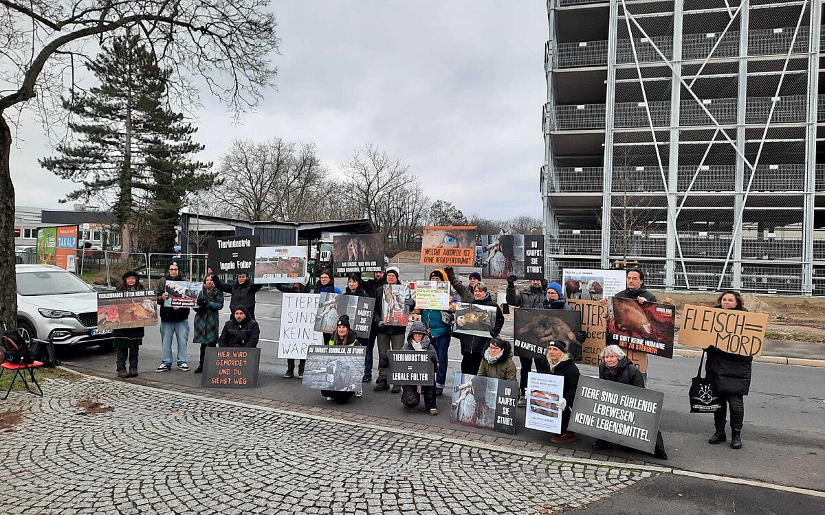 080124 Aschaffenburg Mahnwache Schlachthof FS 080124 Aschaffenburg Mahnwache Schlachthof FS