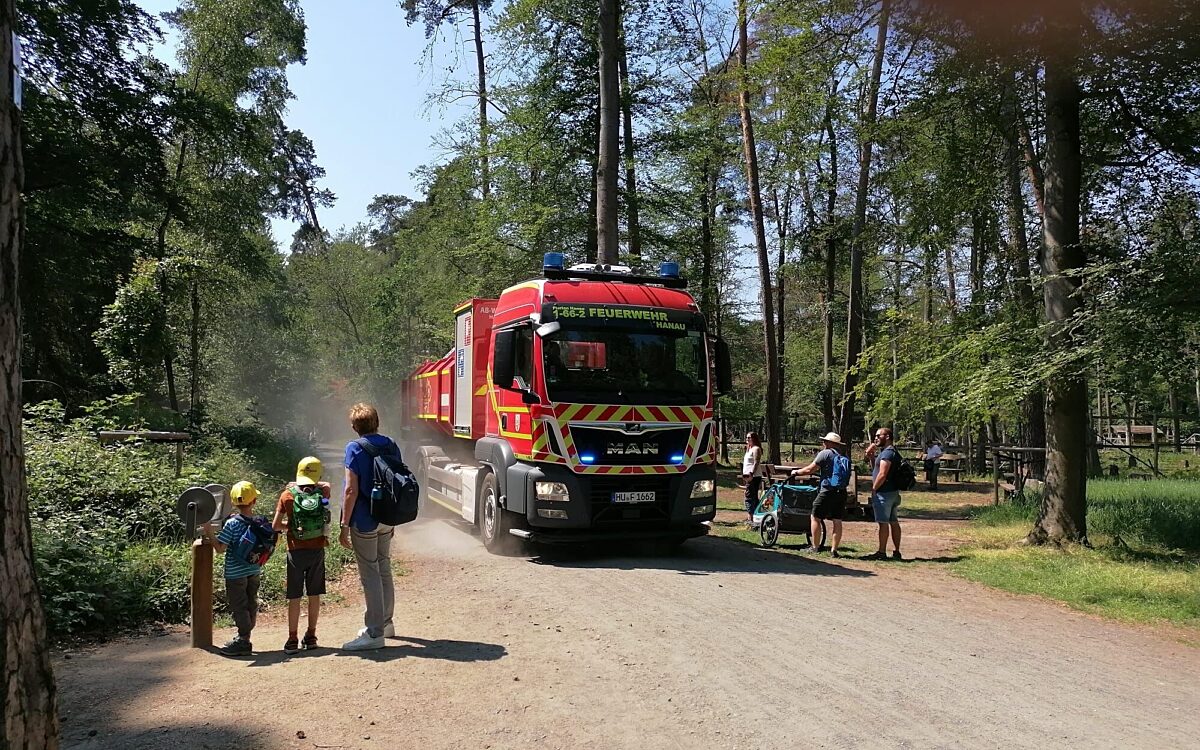 090623 Wildpark Foto Woelfe1 090623 Wildpark Foto Woelfe1