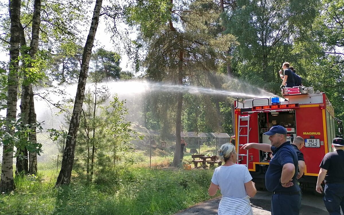 090623 Wildpark Foto Woelfe2 090623 Wildpark Foto Woelfe2