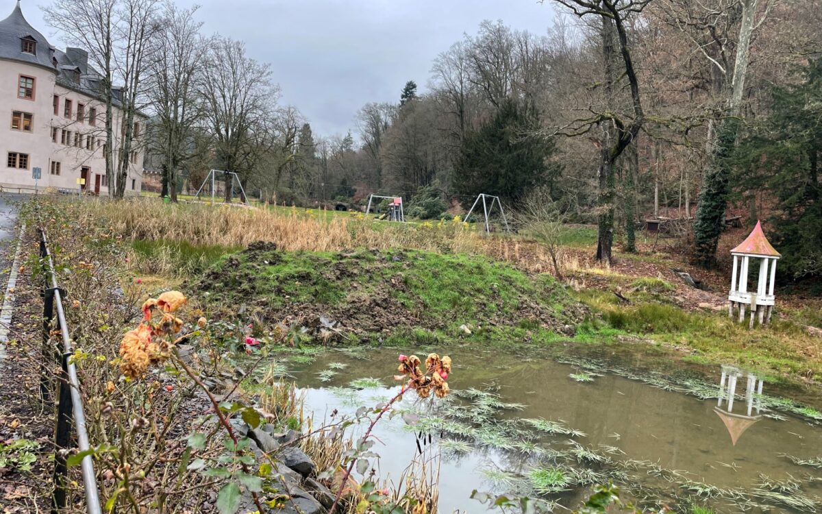 091221 Waechtersbach Schlossgarten 091221 Waechtersbach Schlossgarten