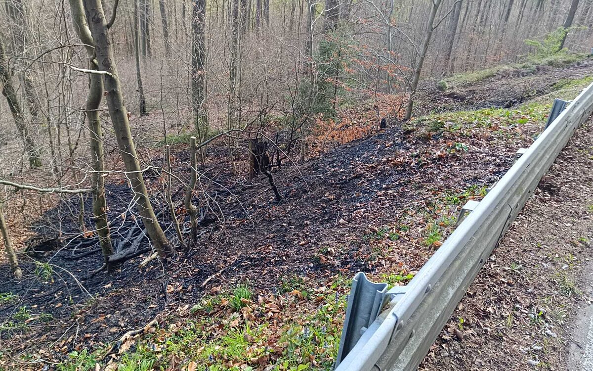 100425 Alzenau Moembris Waldbrand 2 100425 Alzenau Moembris Waldbrand 2