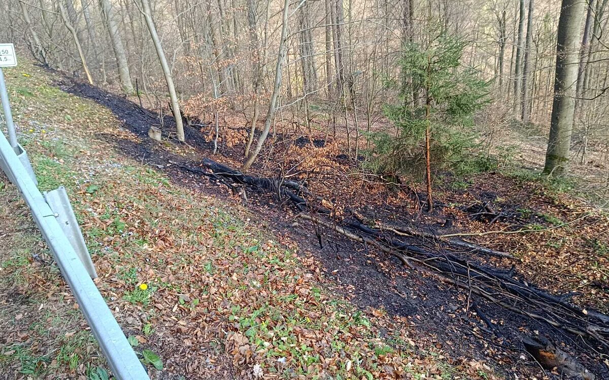 100425 Alzenau Moembris Waldbrand 100425 Alzenau Moembris Waldbrand