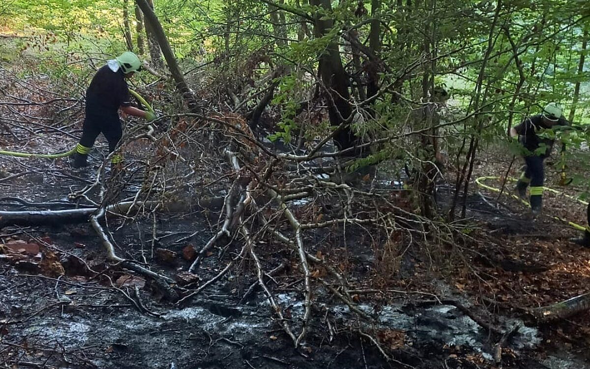 100822 Waldbrand Hammersbach 100822 Waldbrand Hammersbach