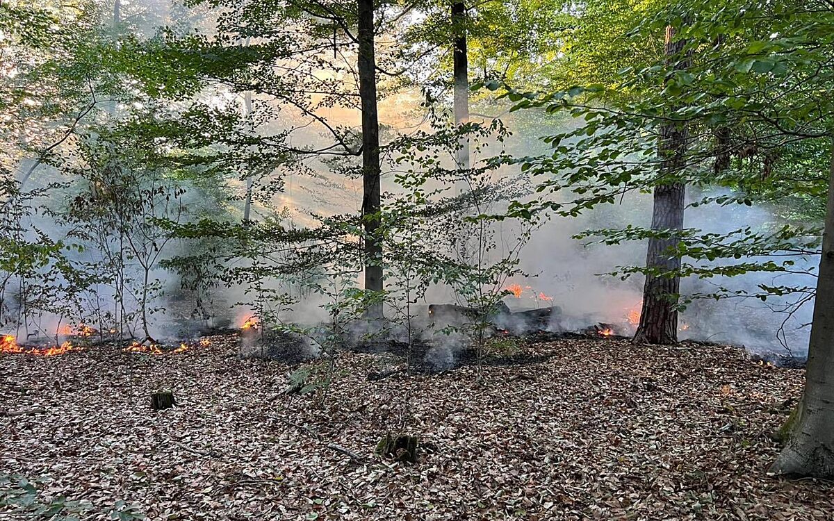 100822 Waldbrand Klein Auheim 100822 Waldbrand Klein Auheim