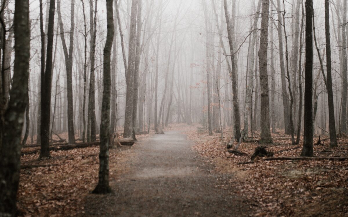 110123 biebergemuend leiche christa n 110123 biebergemuend leiche christa n