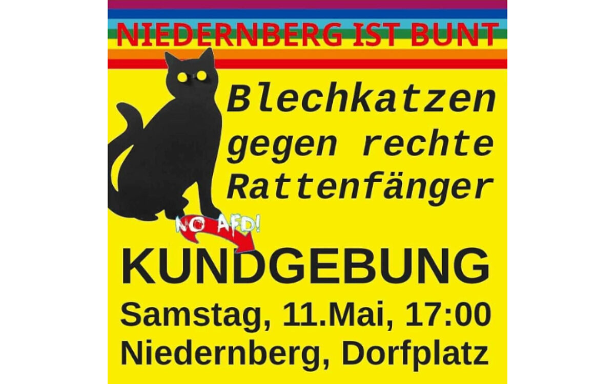 110524 Niedernberg ist bunt Kundgebung 110524 Niedernberg ist bunt Kundgebung