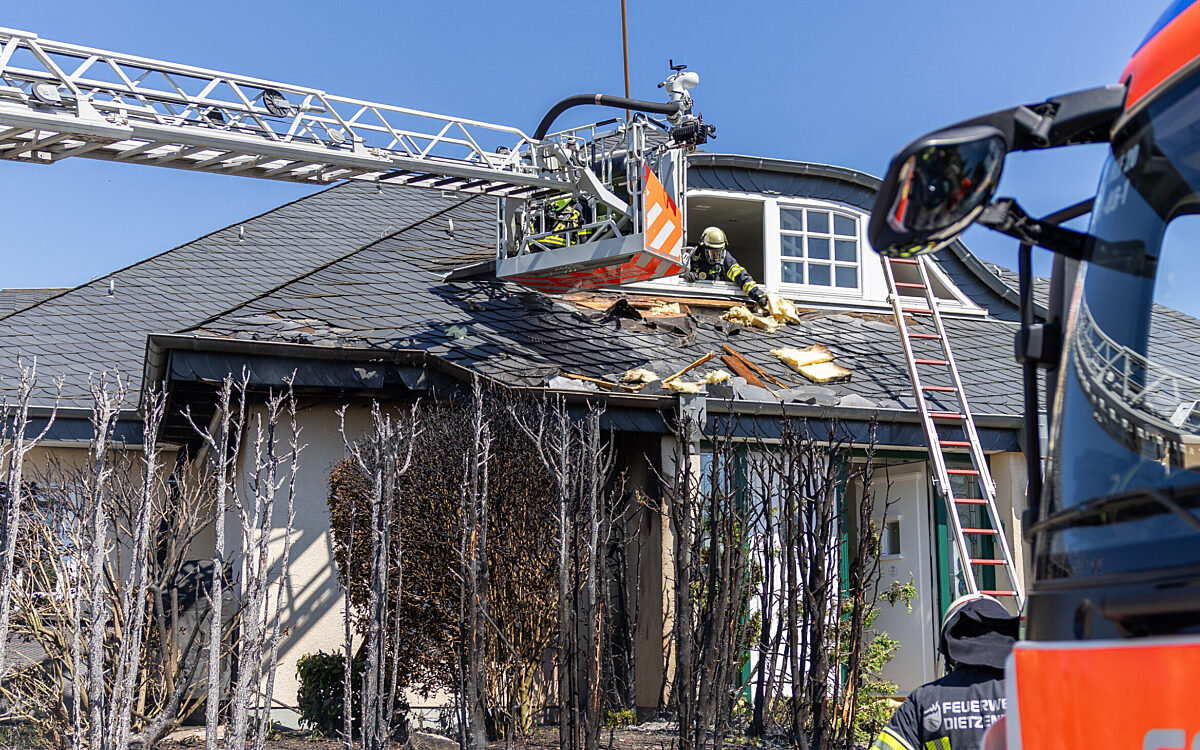 110525 Dietzenbach Heckenbrand 110525 Dietzenbach Heckenbrand