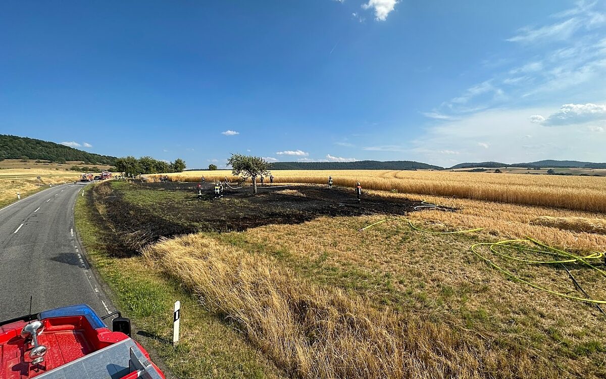 120723 Flaechenbrand SCO 2 Foto FF Schoellkrippen jpg 120723 Flaechenbrand SCO 2 Foto FF Schoellkrippen jpg