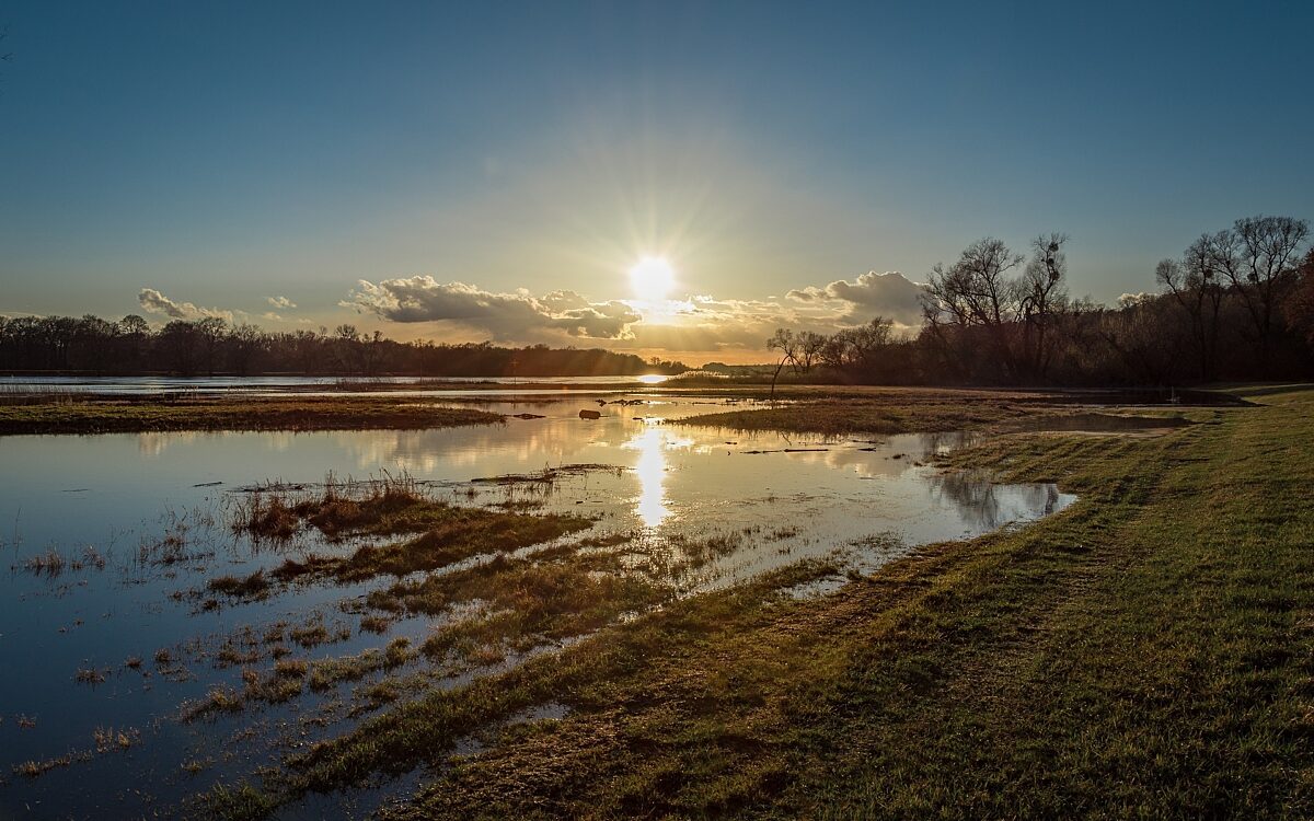 130123 hochwasser 130123 hochwasser