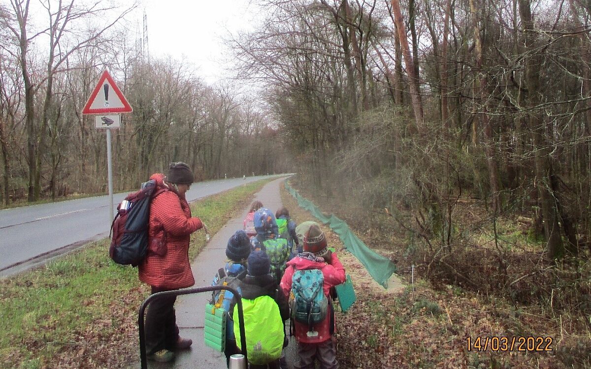 140222 Unterwegs am Amphibienzaun 140222 Unterwegs am Amphibienzaun